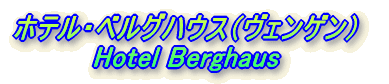 zeExOnEXiFQj Hotel Berghaus 