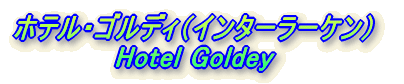 zeESfBiC^[[Pj Hotel Goldey 
