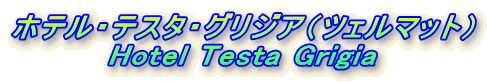 zeEeX^EOWAicF}bgj
Hotel Testa Grigia
