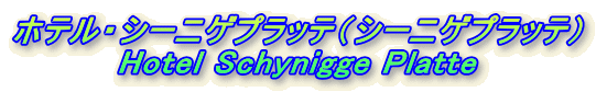 zeEV[jQvbeiV[jQvbej Hotel Schynigge Platte 
