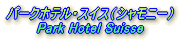 p[NzeEXCXiVj[j Park Hotel Suisse 