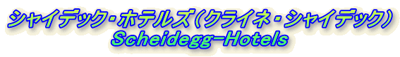 VCfbNEzeYiNClEVCfbNj
Scheidegg-Hotels
