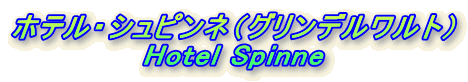 zeEVsliOfgj
Hotel Spinne
