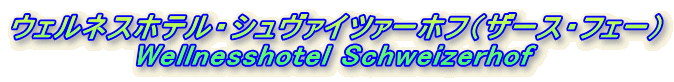 EFlXzeEV@Cc@[ztiU[XEtF[j
Wellnesshotel Schweizerhof
