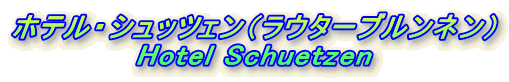 zeEVbcFiE^[ulj
Hotel Schuetzen
