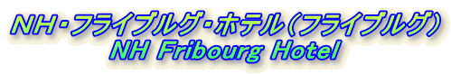 mgEtCuOEzeitCuOj
NH Fribourg Hotel
