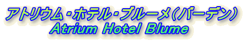 AgEEzeEu[io[fj
Atrium Hotel Blume 
